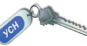 Минфин разъяснил отдельные положения, которые надо учитывать при применении УСН Минфин разъяснил отдельные положения, которые надо учитывать при применении УСН