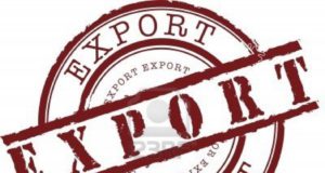 Налогоплательщикам дадут право отказаться от нулевой ставки по НДС при экспорте Налогоплательщикам дадут право отказаться от нулевой ставки по НДС при экспорте
