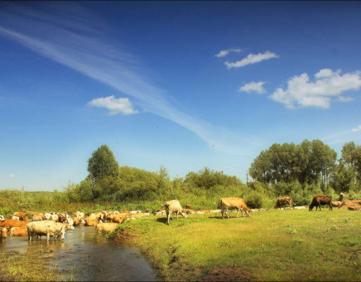Движимое имущество не будет облагаться налогом Движимое имущество не будет облагаться налогом