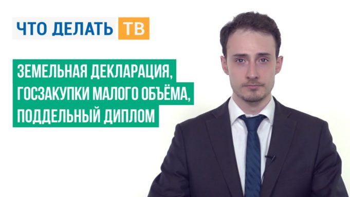 Земельная декларация, госзакупки малого объёма, поддельный диплом