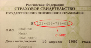 ПФР отменяет бумажные СНИЛСы