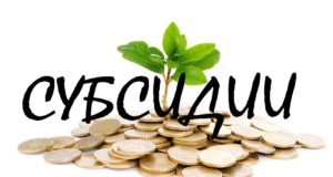 Минфин России рассказал какие документы подтвердят, что субсидия предоставлена без учета НДС Минфин России рассказал какие документы подтвердят, что субсидия предоставлена без учета НДС