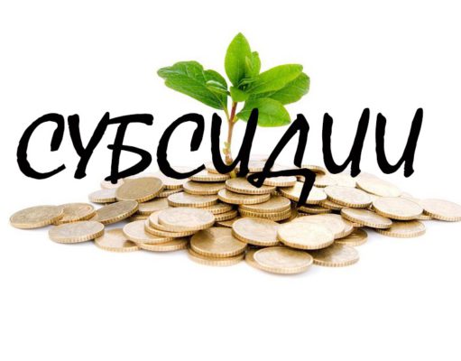 Минфин России рассказал какие документы подтвердят, что субсидия предоставлена без учета НДС Минфин России рассказал какие документы подтвердят, что субсидия предоставлена без учета НДС