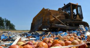 Больше операций освободят от НДС Больше операций освободят от НДС