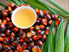 Отменена льгота по НДС для пальмового масла Отменена льгота по НДС для пальмового масла