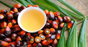 Отменена льгота по НДС для пальмового масла Отменена льгота по НДС для пальмового масла