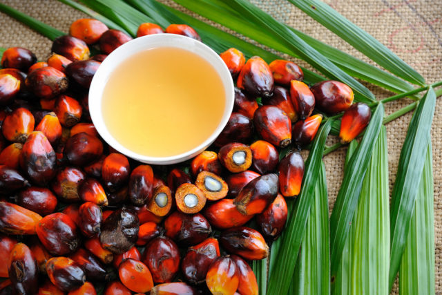 Отменена льгота по НДС для пальмового масла