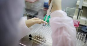 Работодатель должен протестировать своих сотрудников на коронавирус Работодатель должен протестировать своих сотрудников на коронавирус