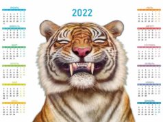 Календарь выходных и праздничных дней в 2022 Календарь выходных и праздничных дней в 2022